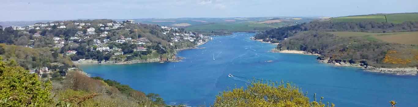 A view of Salcombe
